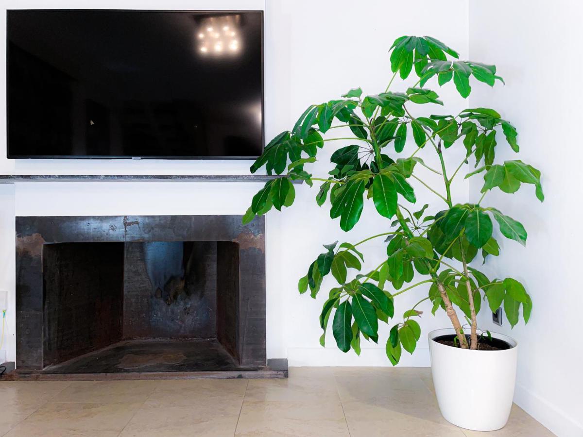 Villa Haygon Private Heated Pool, Bbq & Sauna San Vicente Raspeig المظهر الخارجي الصورة